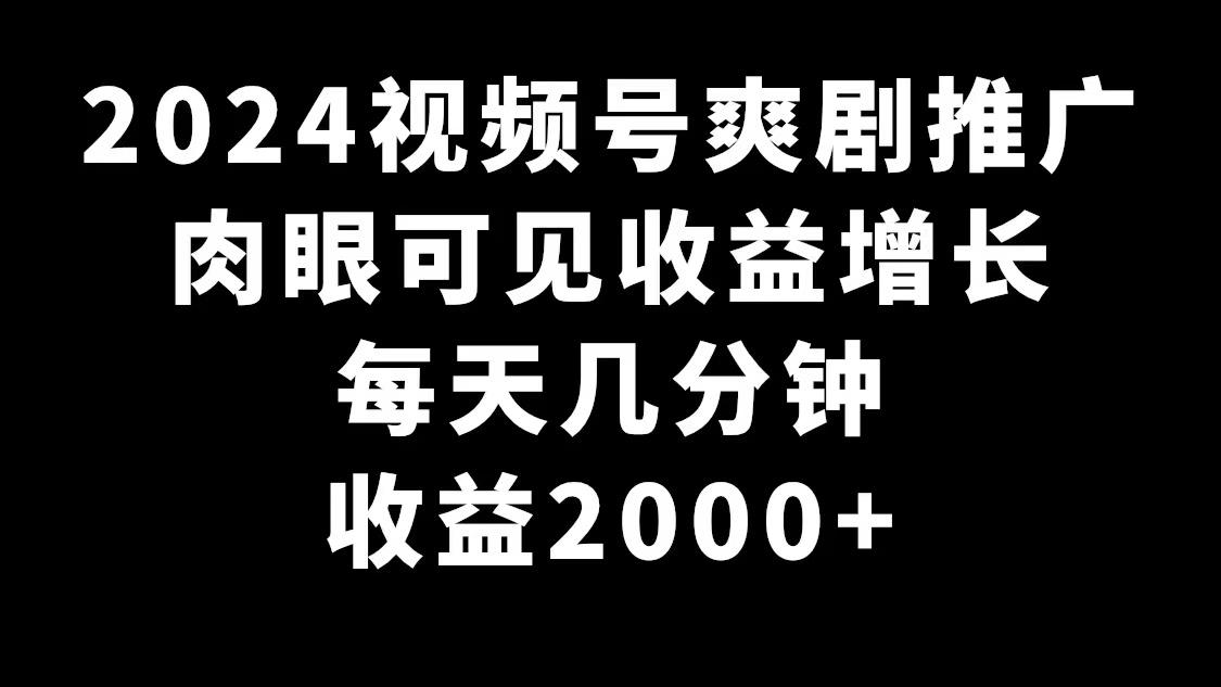2024视频号爽剧推广，肉眼可见的收益增长，每天几分钟收益2000+-小艾项目网