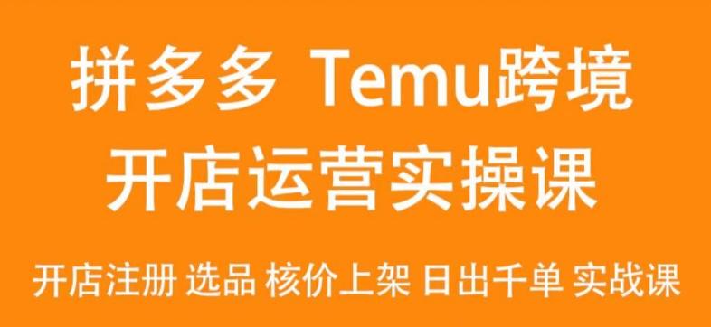 2024Temu最新玩法，Temu跨境开店运营实操课，开店注册/选品/核价上架/日出千单实战课-小艾项目网