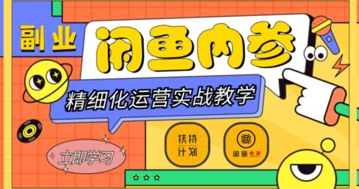 闲鱼精细化运营入门+高阶实战教学，从底层逻辑到轻松变现，多维度玩转闲鱼副业-小艾项目网