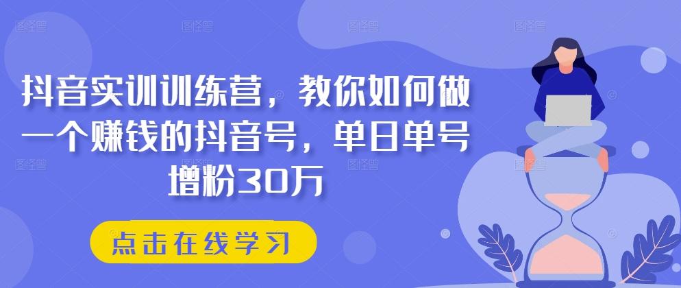 抖音实训训练营，教你如何做一个赚钱的抖音号，单日单号增粉30万-小艾项目网