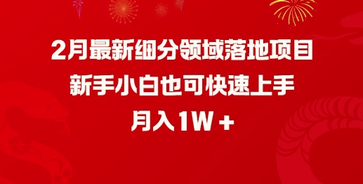 2月最新细分领域落地项目，新手小白也可快速上手，月入1W-小艾项目网