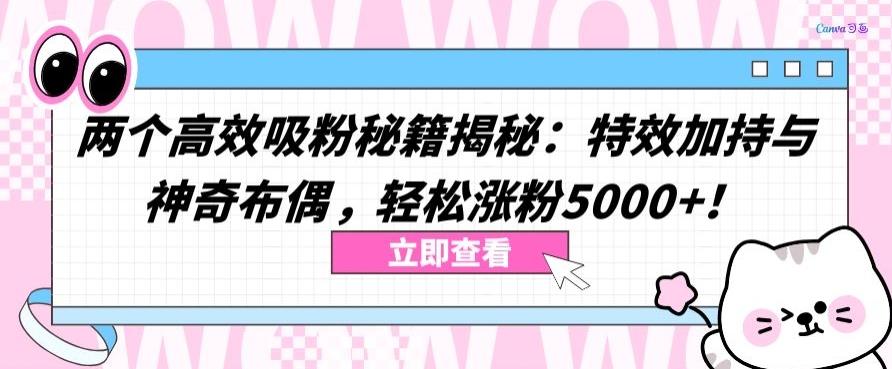 两个高效吸粉秘籍揭秘：特效加持与神奇布偶，轻松涨粉5000+【揭秘】-小艾项目网