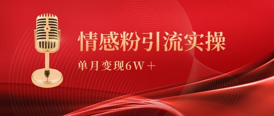 (9473期)单月变现6w+，情感粉引流变现实操课-小艾项目网