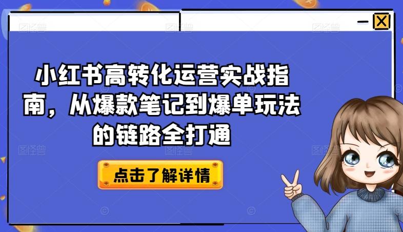 小红书高转化运营实战指南，从爆款笔记到爆单玩法的链路全打通-小艾项目网