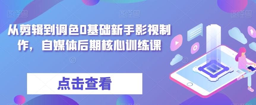 从剪辑到调色0基础新手影视制作，自媒体后期核心训练课-小艾项目网