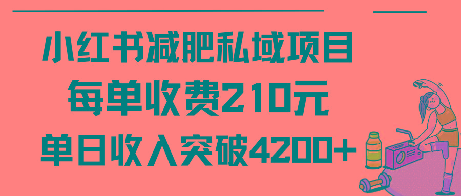 (9466期)小红书减肥私域项目每单收费210元单日成交20单，最高日入4200+-小艾项目网