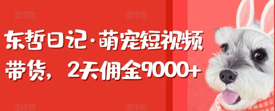 东哲日记·萌宠短视频带货，2天佣金9000+-小艾项目网