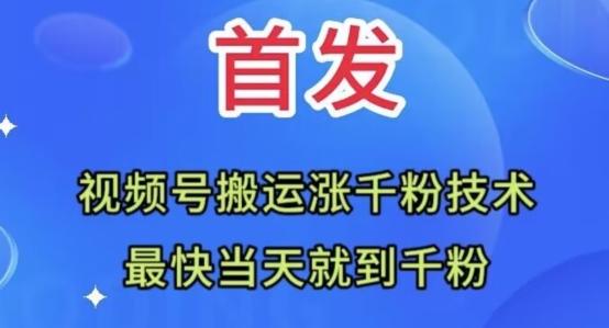 全网首发：视频号无脑搬运涨千粉技术，最快当天到千粉【揭秘】-小艾项目网