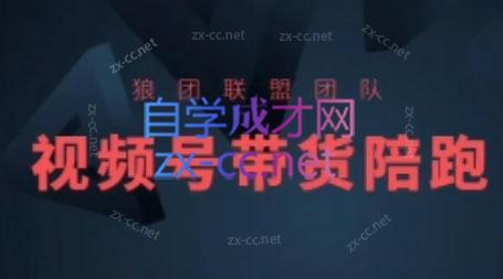 狼团联盟·2024视频号带货-小艾项目网