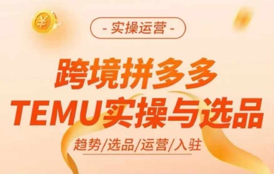 跨境拼多多TEMU实操与选品，多多temu跨境选品运营实操-小艾项目网