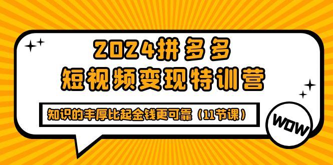 (9817期)2024拼多多短视频变现特训营，知识的丰厚比起金钱更可靠(11节课)-小艾项目网