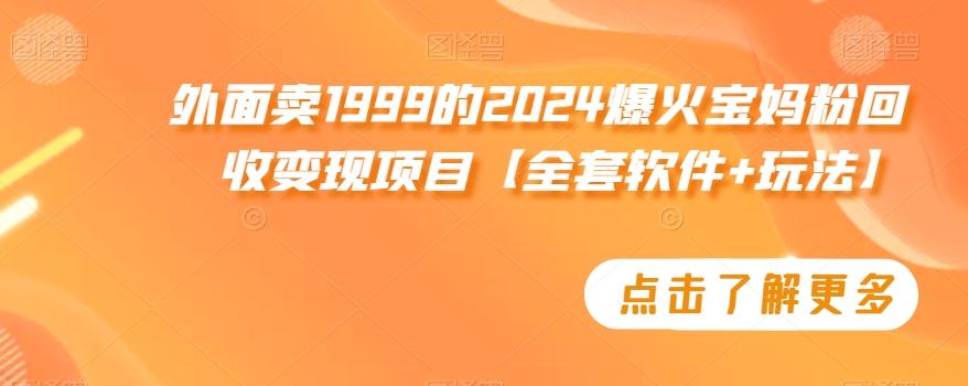外面卖1999的2024爆火宝妈粉回收变现项目【全套软件+玩法】【揭秘】-小艾项目网