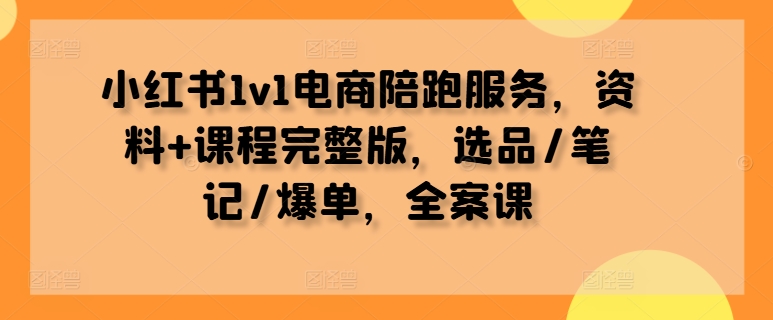 小红书1v1电商陪跑服务，资料+课程完整版，选品/笔记/爆单，全案课-小艾项目网