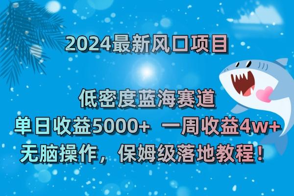 (8545期)2024最新风口项目 低密度蓝海赛道，日收益5000+周收益4w+ 无脑操作，保...-小艾项目网