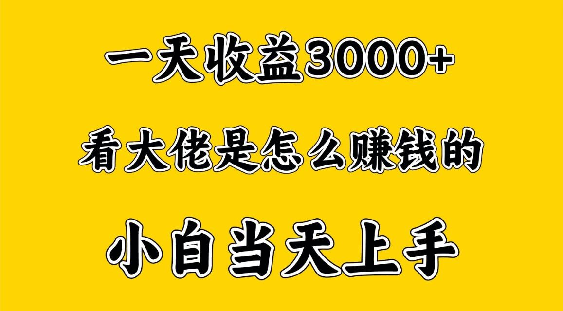 一天赚3000多，大佬是这样赚到钱的，小白当天上手，穷人翻身项目-小艾项目网