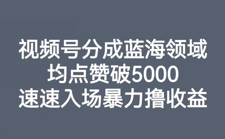 视频号分成蓝海领域，均点赞破5000，速速入场暴力撸收益-小艾项目网