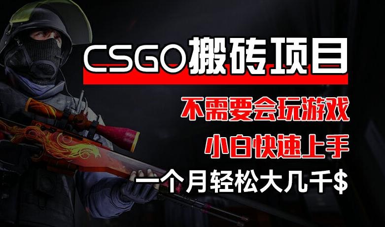 CSGO 装备搬砖项目，操作简单，不需要会玩游戏，小白也能快速上手，一个月轻松大几千【揭秘】-小艾项目网