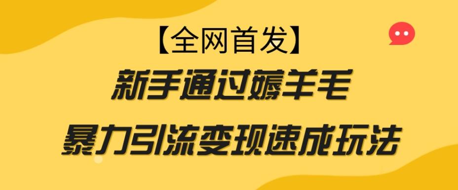 【全网首发】新手通过薅羊毛暴力引流变现速成玩法-小艾项目网