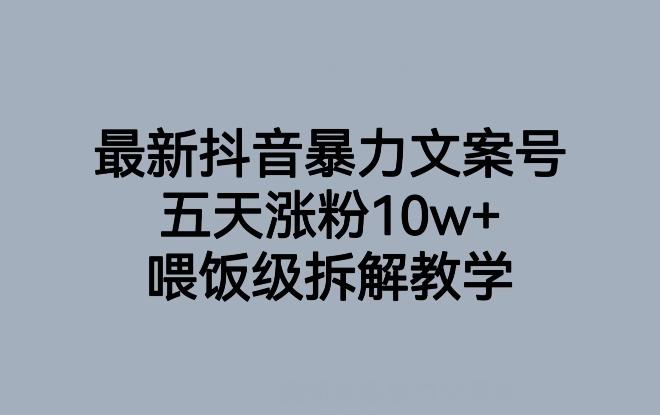最新抖音暴力文案号，五天涨粉10w+，喂饭级拆解教学-小艾项目网