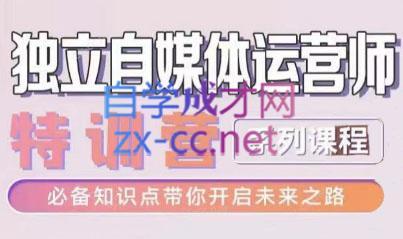 博老师·2024独立自媒体运营师特训营-小艾项目网