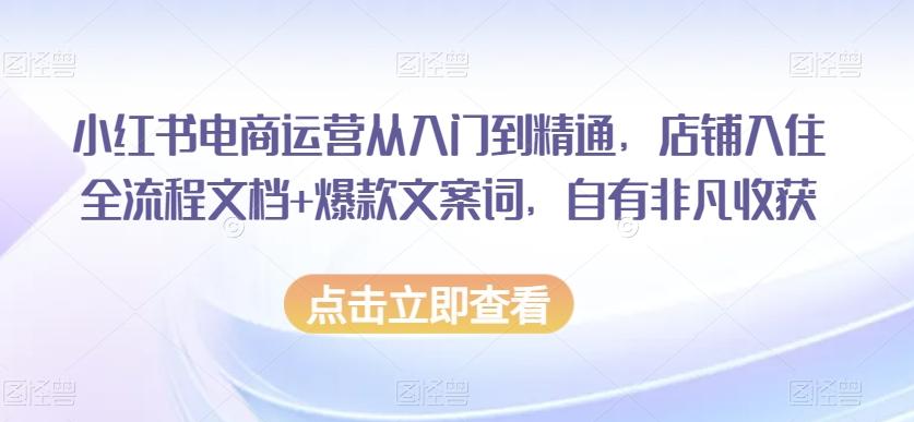 小红书电商运营从入门到精通，店铺入住全流程文档+爆款文案词，自有非凡收获-小艾项目网