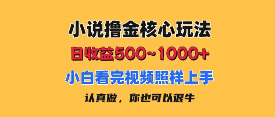 小说撸金核心玩法，日收益500-1000+，小白看完照样上手，0成本有手就行-小艾项目网