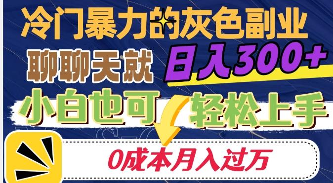 冷门暴利的副业项目，聊聊天就能日入300+，0成本月入过万【揭秘】-小艾项目网