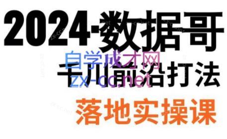 数据哥·2024年千川前沿打法落地实操课-小艾项目网