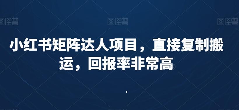 小红书矩阵达人项目，直接复制搬运，回报率非常高-小艾项目网