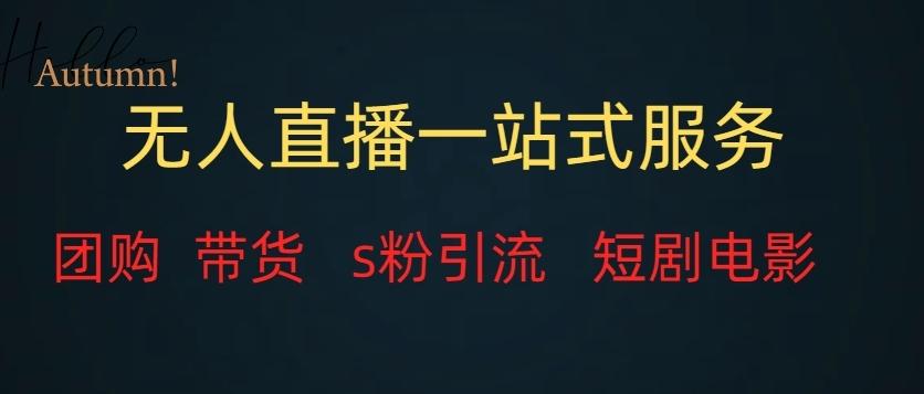 无人直播一站式服务（教程以及变现方式）-小艾项目网
