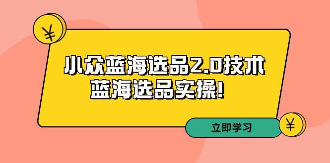 拼多多培训第33期：小众蓝海选品2.0技术-蓝海选品实操！-小艾项目网