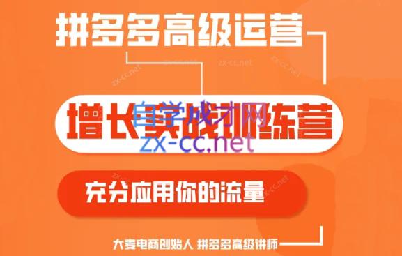 大麦老师·拼多多单品爆款打造课程(更新6月)-小艾项目网