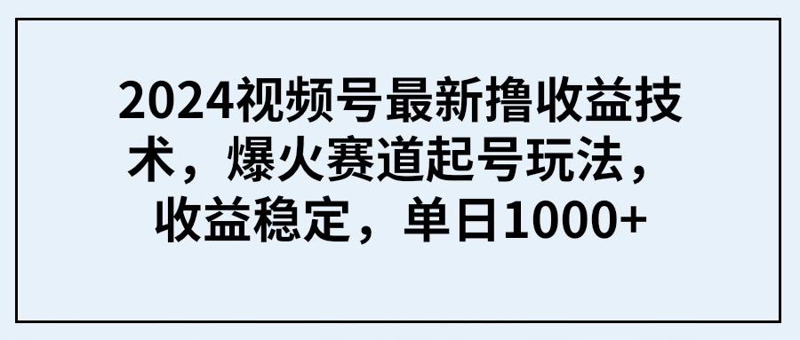 (9651期) 2024视频号最新撸收益技术，爆火赛道起号玩法，收益稳定，单日1000+-小艾项目网