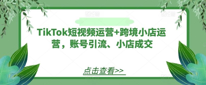 TikTok短视频运营+跨境小店运营，账号引流、小店成交-小艾项目网