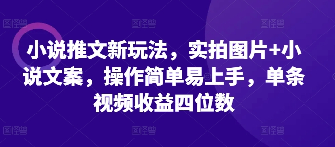 小说推文新玩法，实拍图片+小说文案，操作简单易上手，单条视频收益四位数-小艾项目网