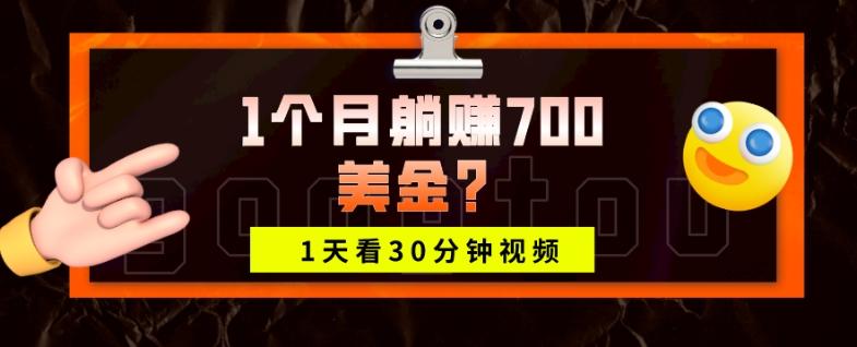1天看30分钟视频，1个月躺赚700美金？-小艾项目网