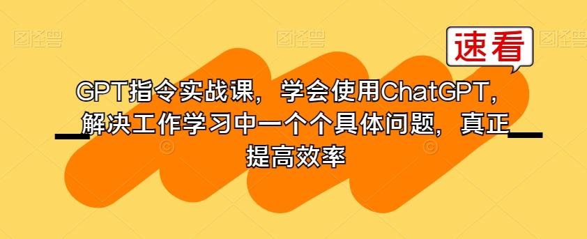 GPT指令实战课，学会使用ChatGPT，解决工作学习中一个个具体问题，真正提高效率-小艾项目网