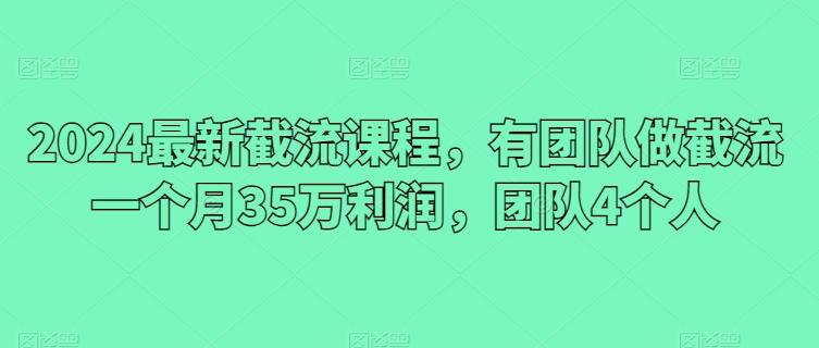 2024最新截流课程，有团队做截流一个月35万利润，团队4个人-小艾项目网