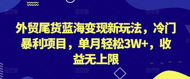 外贸尾货蓝海变现新玩法，冷门暴利项目，单月轻松3W+，收益无上限【揭秘】-小艾项目网