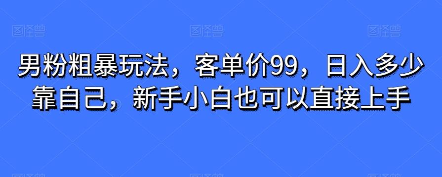 男粉粗暴玩法，客单价99，日入多少靠自己，新手小白也可以直接上手-小艾项目网