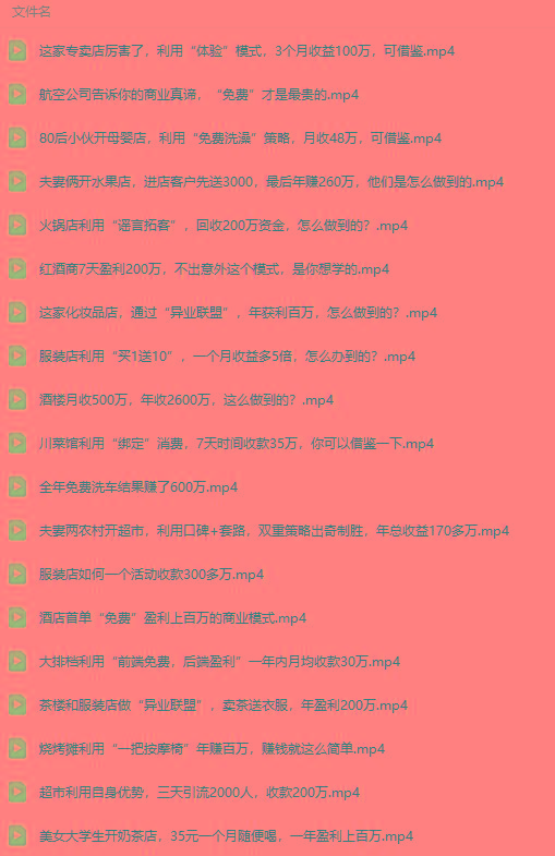 图片[5]-(9607期)真实有效391套商业模式，年入几十到几百万案例解析(电子书+视频+图文)-小艾项目网