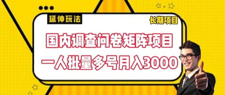 国内调查问卷矩阵项目，一人批量多号月入3000【揭秘】-小艾项目网
