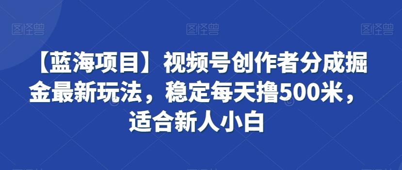 【蓝海项目】视频号创作者分成掘金最新玩法，稳定每天撸500米，适合新人小白【揭秘】-小艾项目网