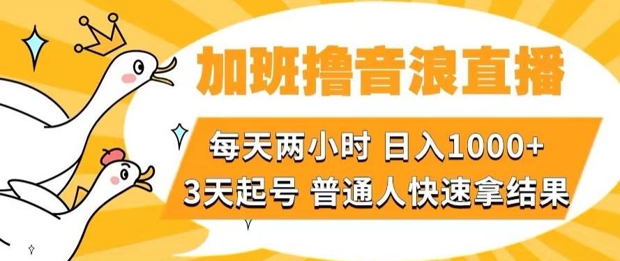 加班撸音浪直播，每天两小时，日入1000+，直播话术才3句，3天起号，普通人快速拿结果【揭秘】-小艾项目网