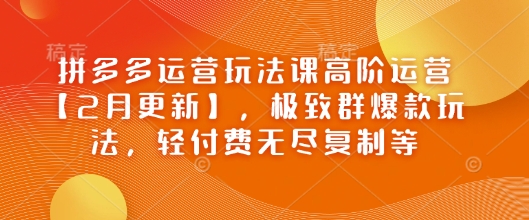 拼多多运营玩法课高阶运营【2月更新】，极致群爆款玩法，轻付费无尽复制等-小艾项目网