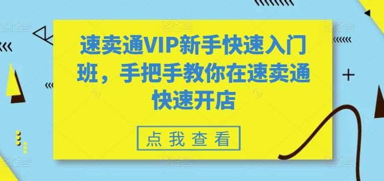 速卖通VIP新手快速入门班，手把手教你在速卖通快速开店-小艾项目网