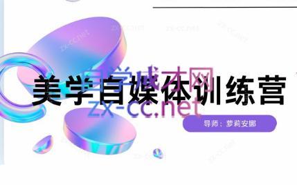 安娜·美学自媒体IP系统课-小艾项目网