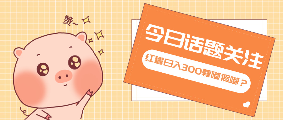 全新红薯浏览，打破常规 双端操作，每天运行6小时，让你获得工作以外的…-小艾项目网