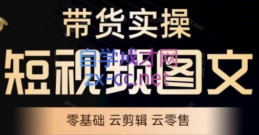 鑫哥·2024零基础短视频带货实操营-小艾项目网