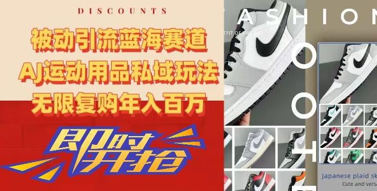 被动引流蓝海赛道，AJ运动用品私域玩法，无限复购年入百万【揭秘】-小艾项目网